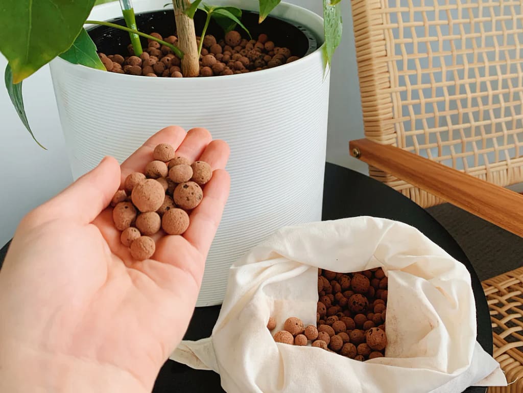 A House Plant in a pot with LECA Clay balls and a hand showing dry clay balls